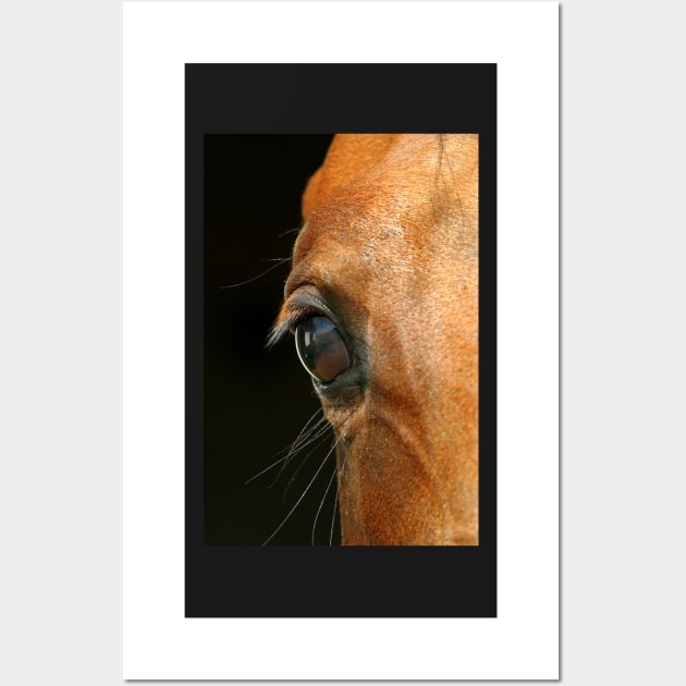 Horse eye close-up Wall Art by Melissa Peltenburg Travel Photography